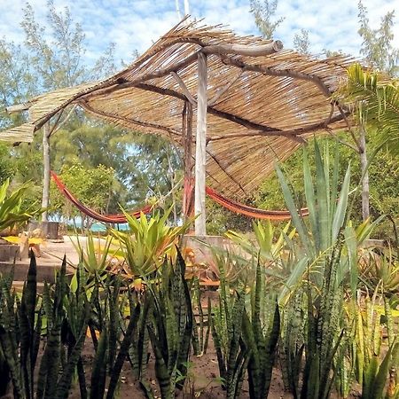 恩祖瓦山林小屋 奔巴岛 外观 照片